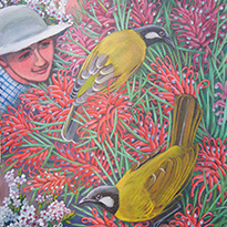 White Eared Honeyeater with Desert Wildflowers